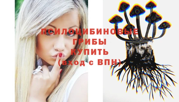 шишки Баксан