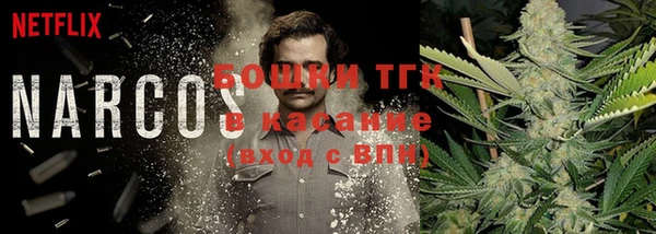 шишки Баксан