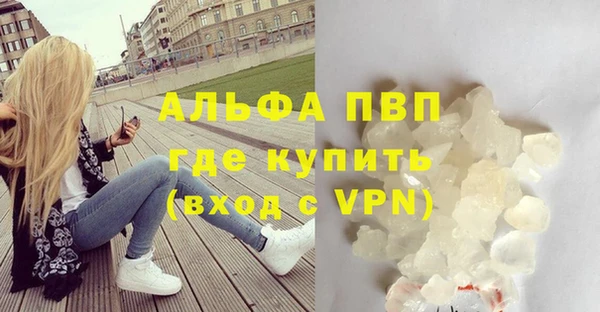 шишки Баксан