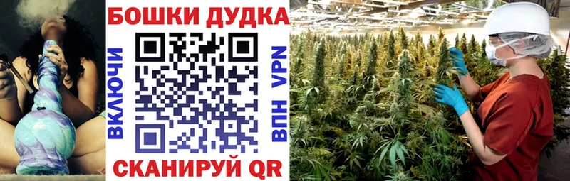 цена   Электросталь  Марихуана сатива 